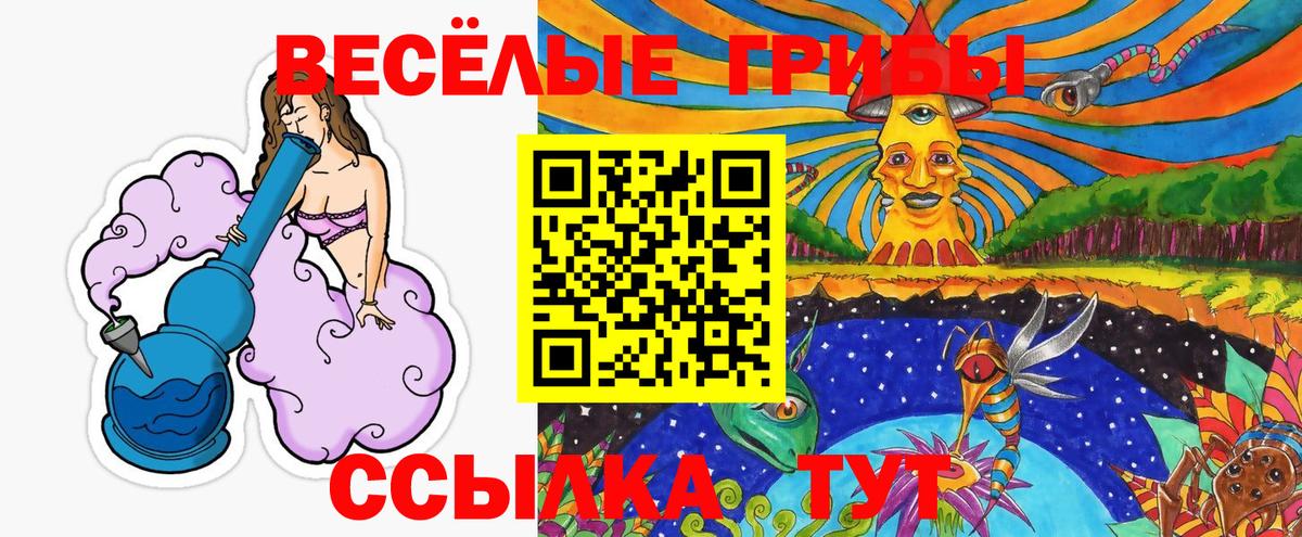 Галлюциногенные грибы GOLDEN TEACHER Кумертау