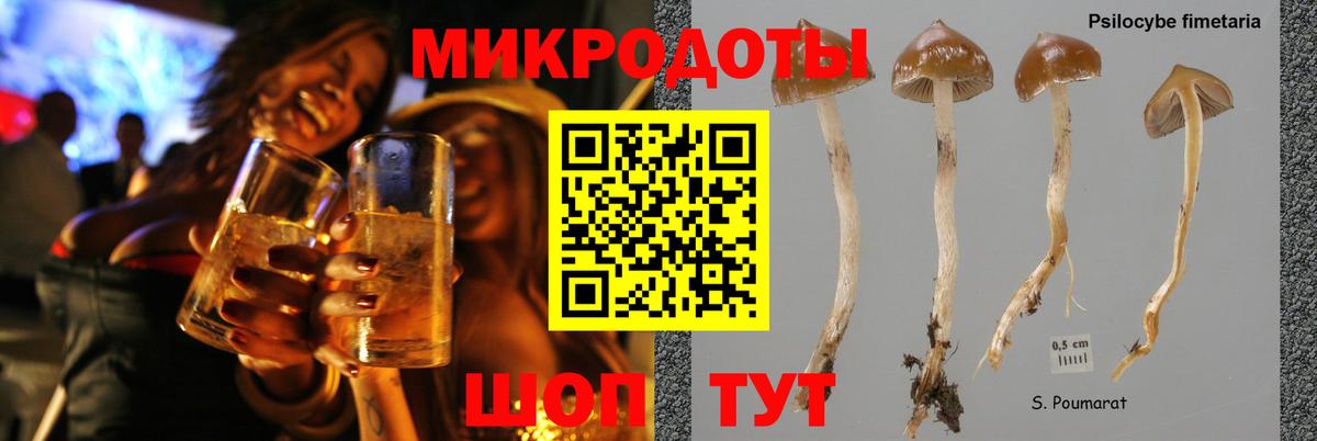 Кумертау  Галлюциногенные грибы Magic Shrooms  Вход с VPN 